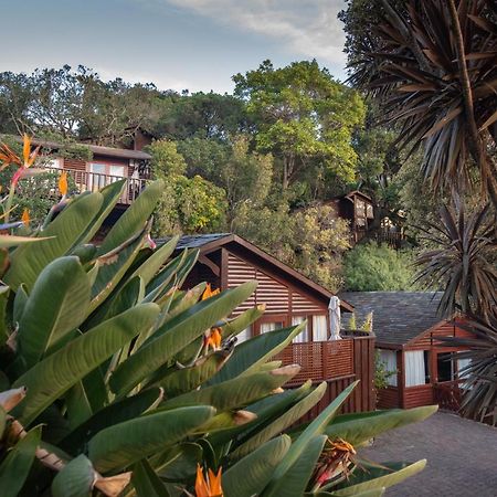 Under Milkwood Resort Knysna Exterior foto